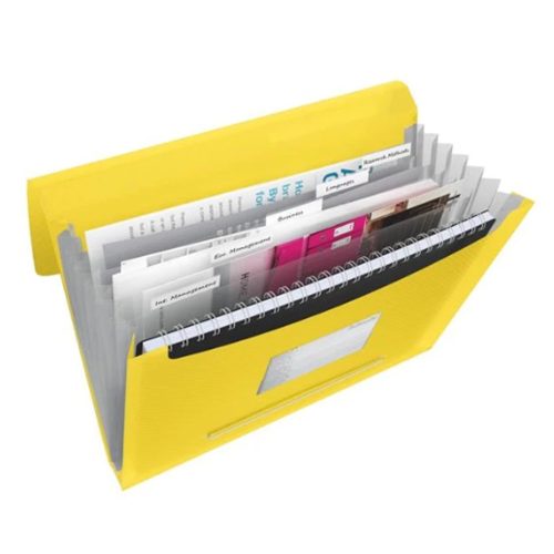 Irattartó mappa, harmonikamappa, A4, PP 6 rekeszes Esselte Vivida sárga