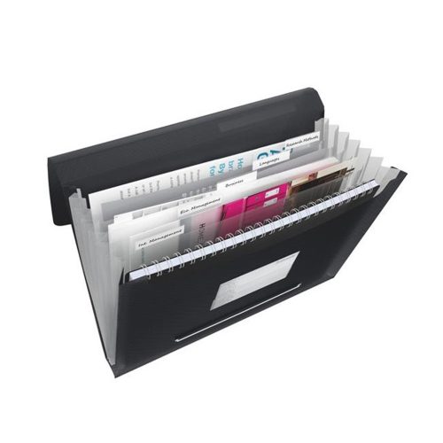 Irattartó mappa, harmonikamappa, A4, PP 6 rekeszes Esselte Vivida fekete