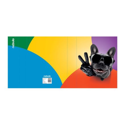 55855