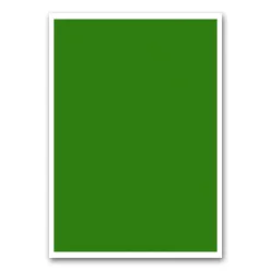 Etikett címke, 210x297mm, 1 címke/lap zöld Bluering®